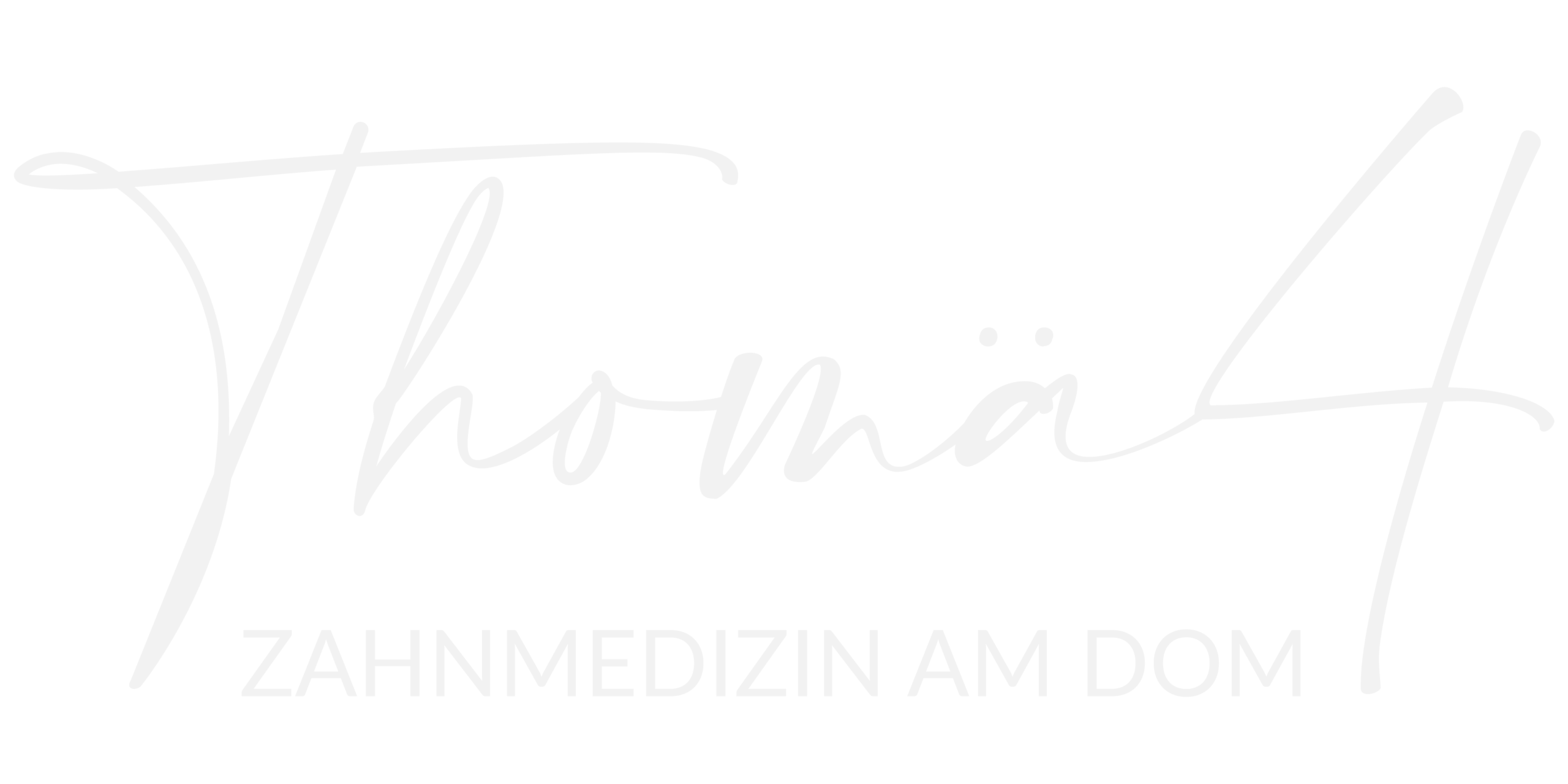 Thomä 4 Logo Web Header