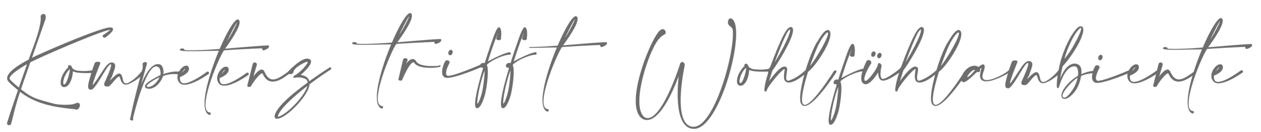 Thomä4 Schriftzug Web Kompetenz Trifft Wohlfühlambiente